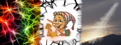 Pinocchio - Ihr Veranstalter für die Reisen im digitalen Raum